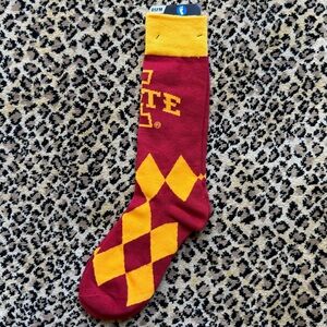 Iowa State Cyclones socks (NWT)